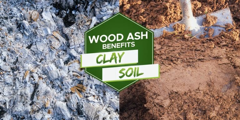 is wood ash good for clay soil