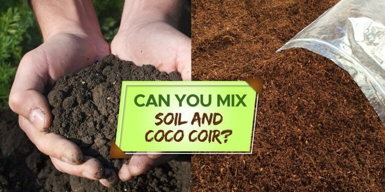 can you mix soil and coco coir