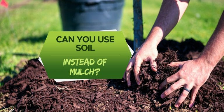 can you use soil instead of mulch