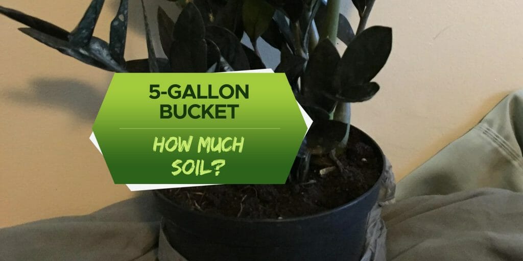 how much soil for 5 gallon pot
