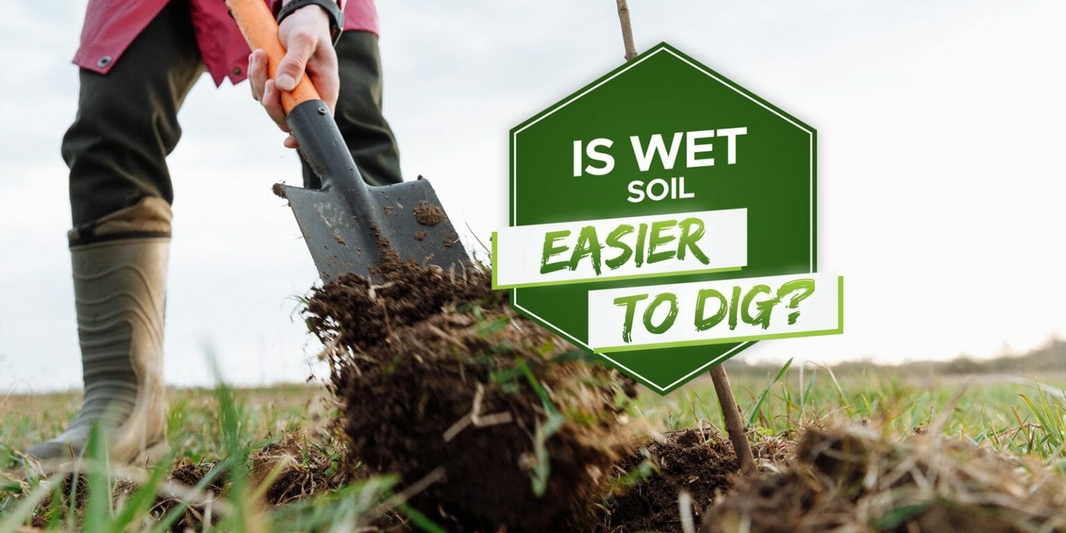 Does Wetting Soil Make It Easier to Dig? [Explained] Grow Your Yard