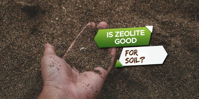 is zeolite good for soil