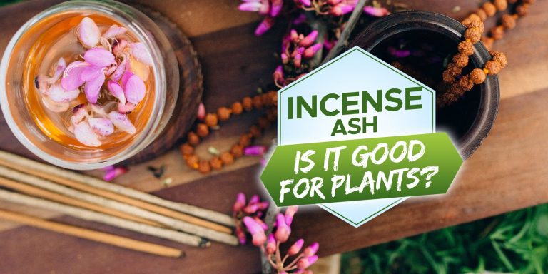 is incense ash good for plants