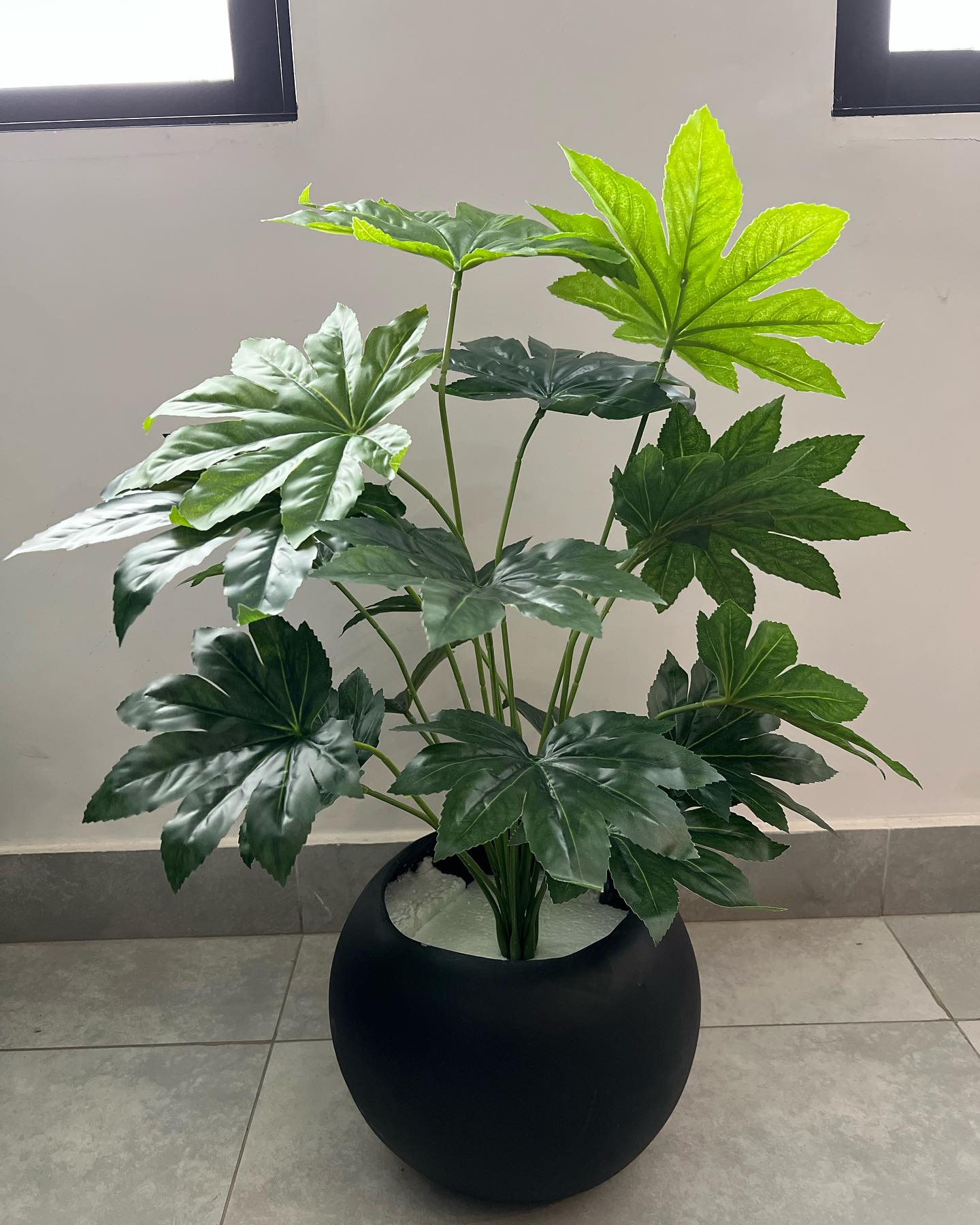 How to Measure Plant Pots [StepbyStep Guide, Incl. Pics!] Grow Your