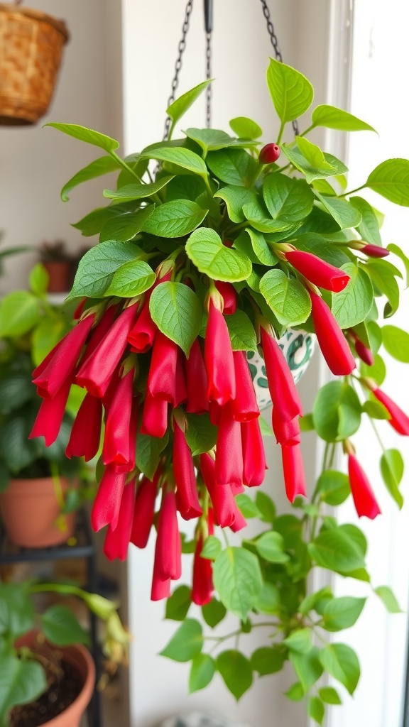 20+ Best Hanging Plants to Brighten Your Ceiling - Grow Your Yard