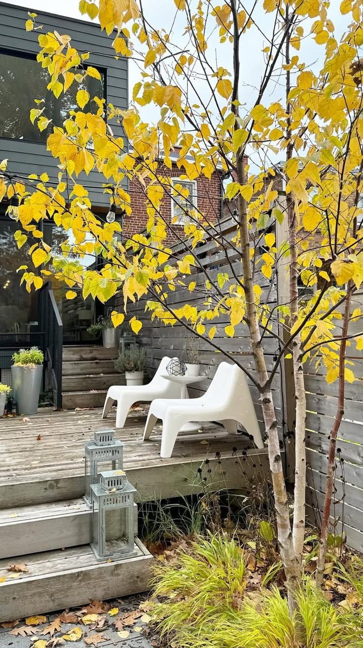 Small yard design ideas