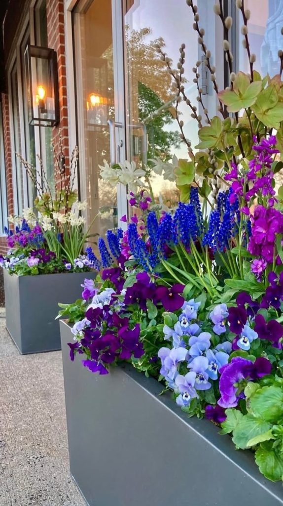 20+ Spring Planter Ideas for Every Budget and Space - Grow Your Yard