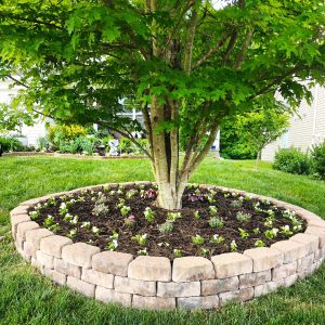 22+ Genius Under Tree Landscaping Ideas You Can Do Today! - Grow Your Yard
