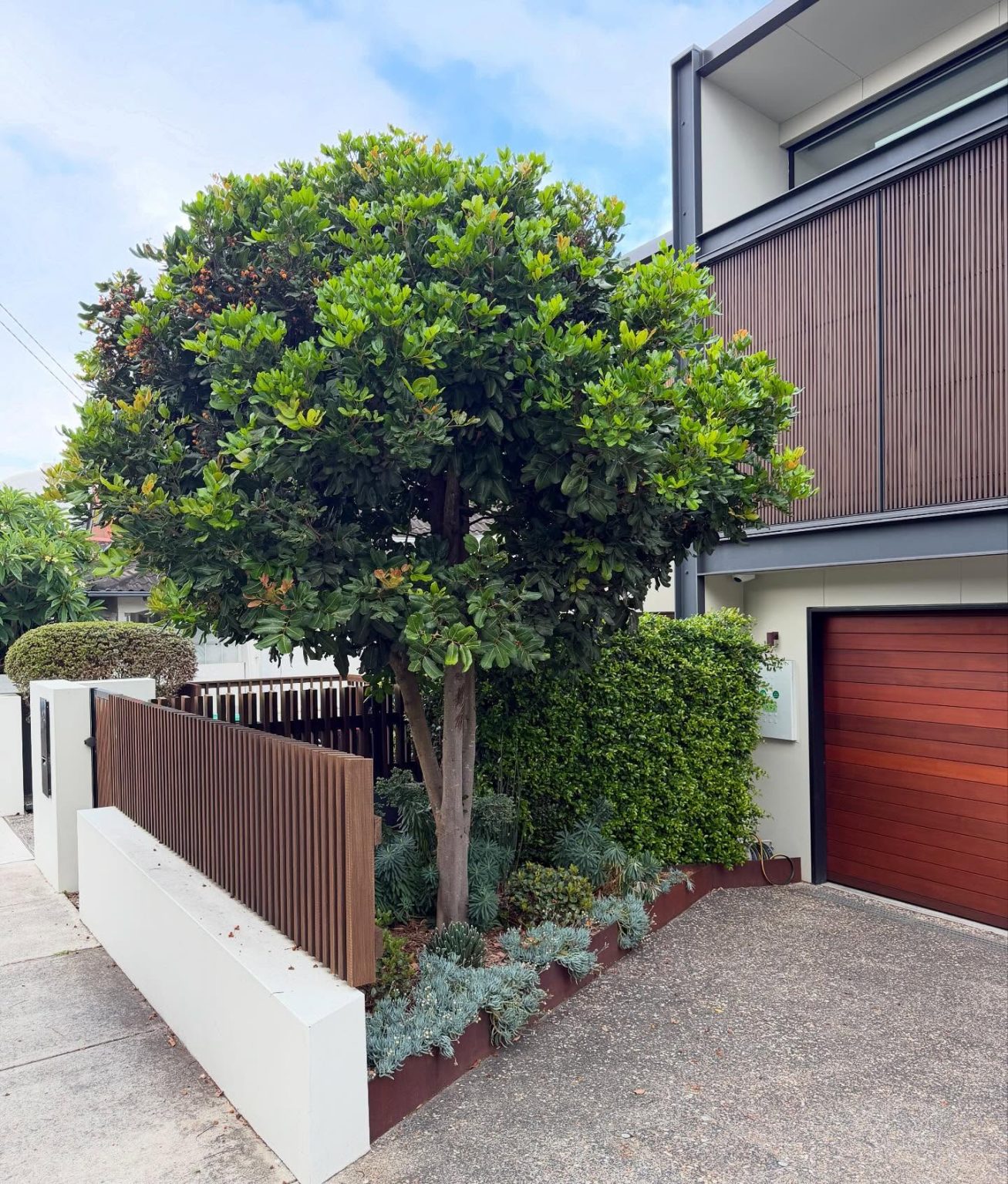 22+ Genius Under Tree Landscaping Ideas You Can Do Today! - Grow Your Yard