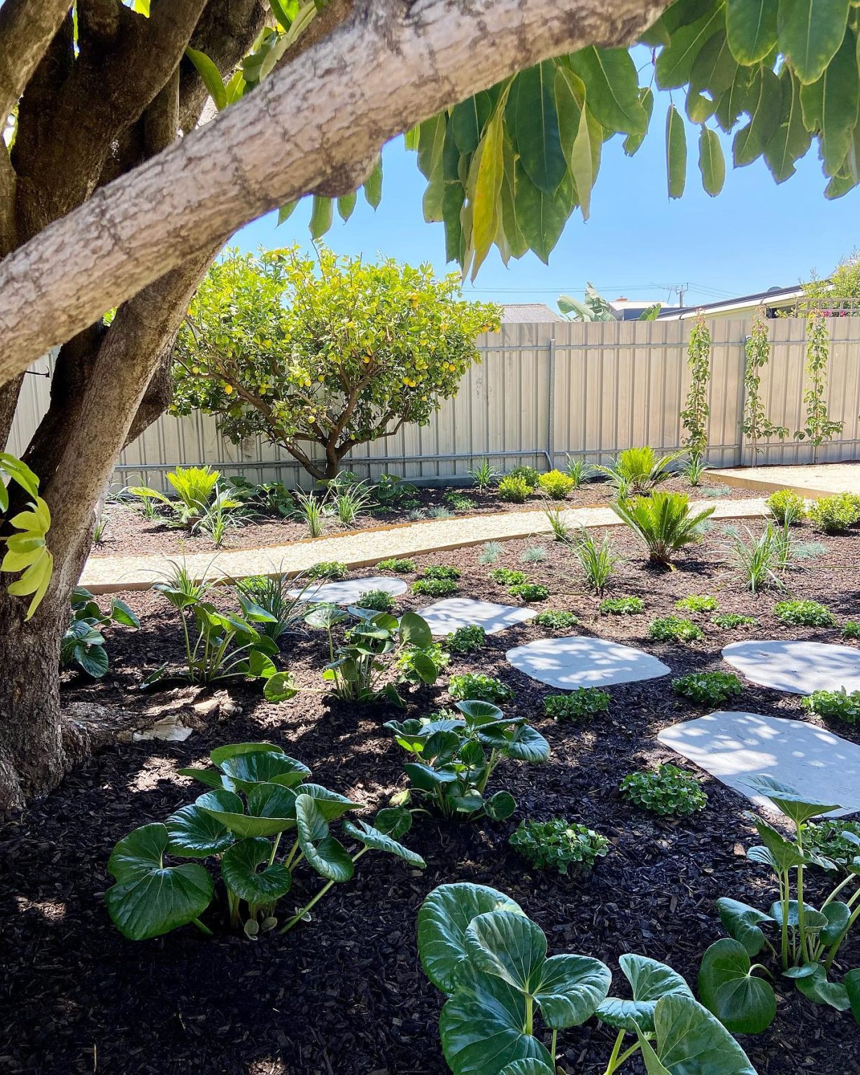 22+ Genius Under Tree Landscaping Ideas You Can Do Today! - Grow Your Yard