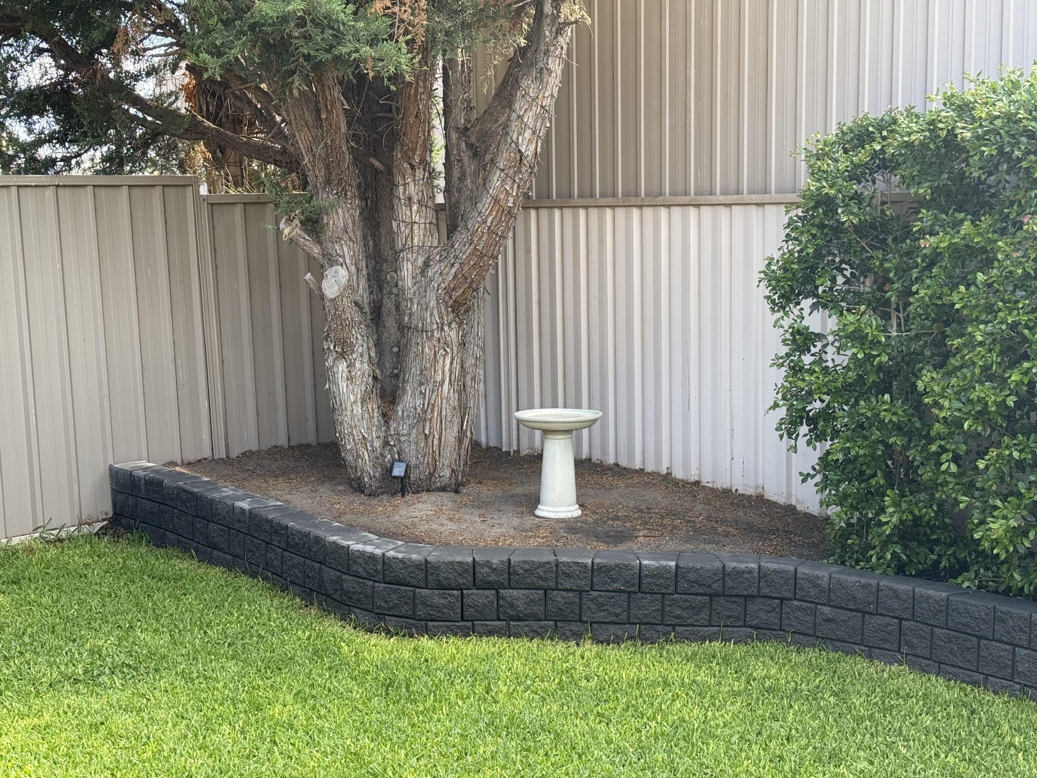 22+ Genius Under Tree Landscaping Ideas You Can Do Today! - Grow Your Yard