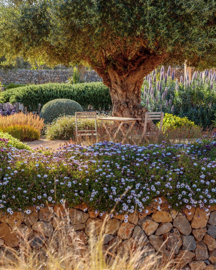 22+ Genius Under Tree Landscaping Ideas You Can Do Today! - Grow Your Yard