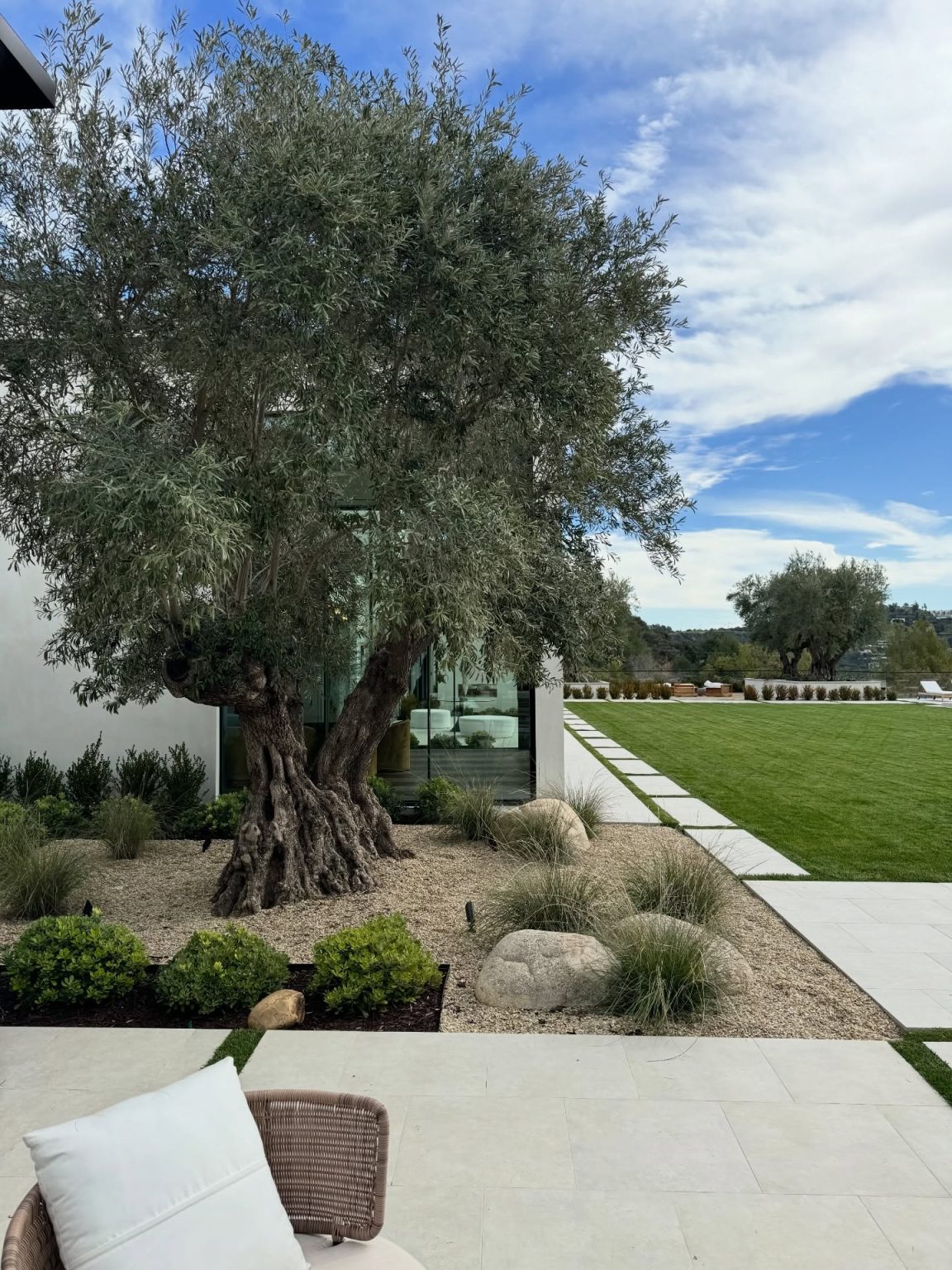22+ Genius Under Tree Landscaping Ideas You Can Do Today! - Grow Your Yard