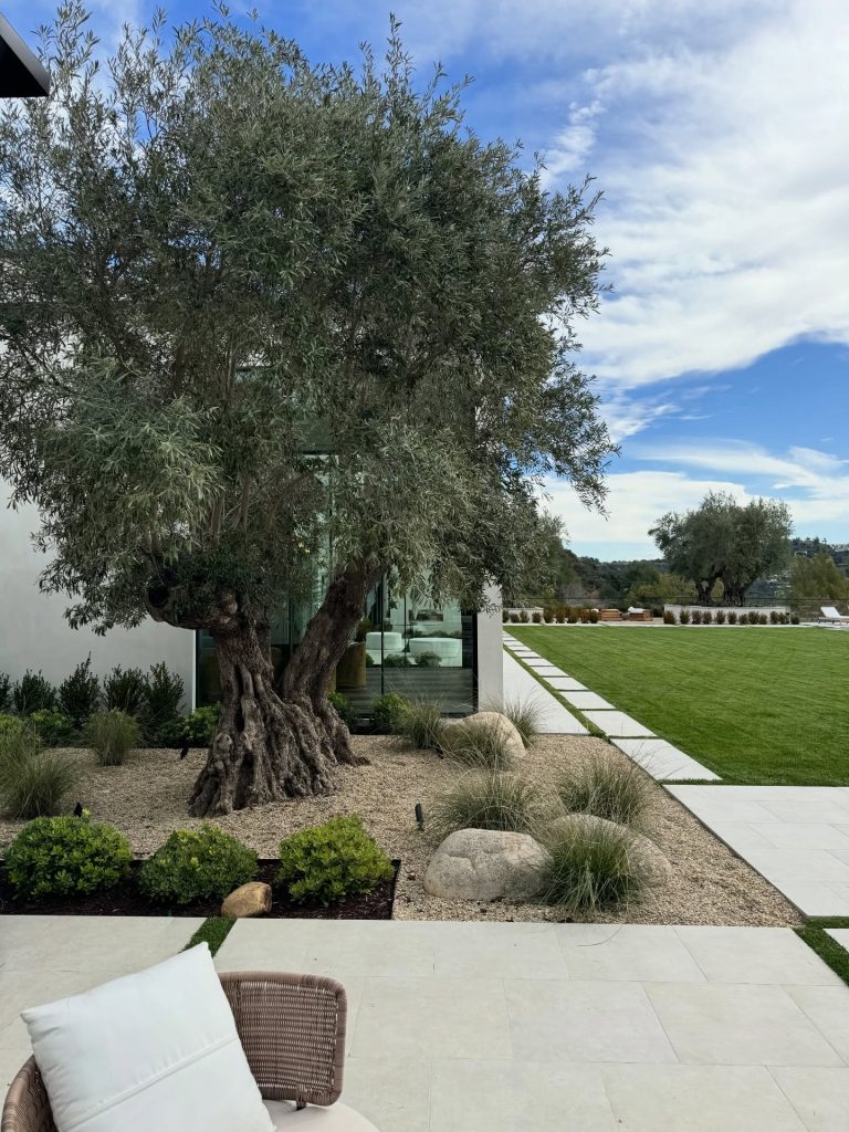 Under Tree Refrence 22+ Genius Under Tree Landscaping Ideas You Can Do Today! - Grow Your Yard