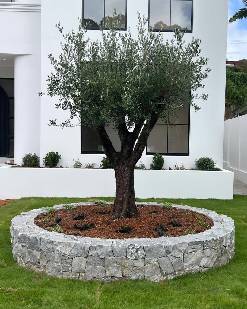 22+ Genius Under Tree Landscaping Ideas You Can Do Today! - Grow Your Yard