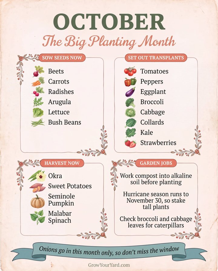October planting page from the Florida Zone 10 guide